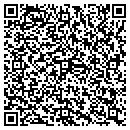 QR code with Curve View 18 Express contacts
