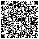QR code with Brian's Home Game Rooms contacts