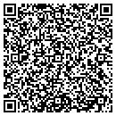 QR code with Pyramid America contacts
