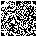 QR code with Blue Water Electric contacts