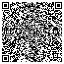 QR code with Christian's Florist contacts