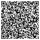 QR code with Pyrotech Service Inc contacts