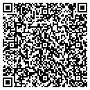 QR code with Preferred Insurance contacts