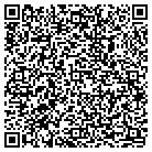 QR code with Professional Engineers contacts