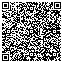 QR code with Pyramid Land Survey contacts
