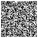QR code with Carey Sound Commplex contacts