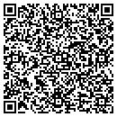 QR code with Professional Detail contacts