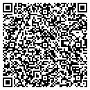 QR code with Proffessional contacts