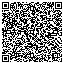 QR code with Carroll Stone Masonry contacts