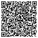 QR code with Vortex contacts