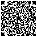 QR code with Cruises Limited Inc contacts