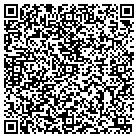 QR code with Baltazar Painting Inc contacts