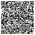 QR code with Cuff's contacts