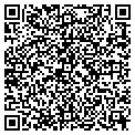 QR code with Reflex contacts
