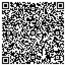 QR code with Pulsecom contacts