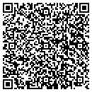 QR code with Blue Ridge Recycling contacts