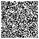 QR code with Print Connection Inc contacts