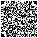 QR code with Presentation Services contacts