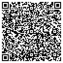 QR code with Professional Tile contacts
