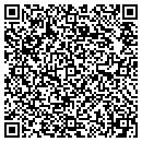QR code with Princeton Review contacts