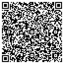 QR code with Productive Tool Corp contacts