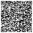 QR code with C & R Auto Sales Inc contacts