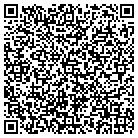 QR code with C I S Consulting Group contacts