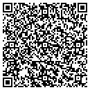 QR code with Purfoy Properties LLC contacts