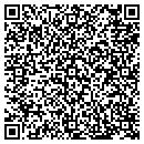 QR code with Professional Towing contacts