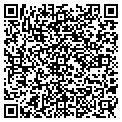 QR code with Idgara contacts