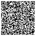 QR code with Steag contacts