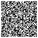 QR code with Blue Ridge Lawn & Power contacts