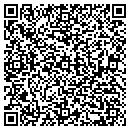 QR code with Blue Ridge Mapping Co contacts