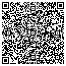 QR code with Critical Business Solutions contacts