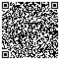 QR code with Shell contacts