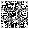 QR code with Dig It Up Sports Inc contacts