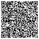 QR code with Premise Networks Inc contacts