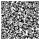 QR code with Premiere Pc's contacts