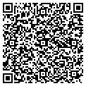 QR code with Viscom contacts