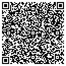 QR code with Ppi Motorsports contacts