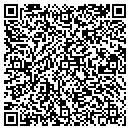 QR code with Custom Forms & Checks contacts