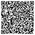 QR code with Modis contacts