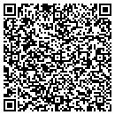 QR code with Protronics contacts