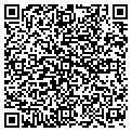 QR code with AMVETS contacts