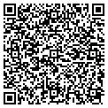 QR code with Pines contacts