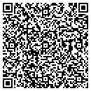 QR code with Public Works contacts