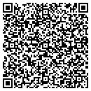 QR code with Pyramid Technologies Intl contacts