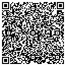 QR code with Professional Cmpt Consulting contacts