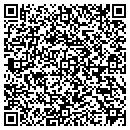 QR code with Professional Eye Care contacts