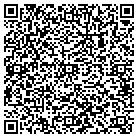 QR code with Professional Parenting contacts